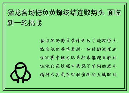 猛龙客场憾负黄蜂终结连败势头 面临新一轮挑战
