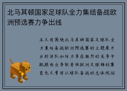 北马其顿国家足球队全力集结备战欧洲预选赛力争出线
